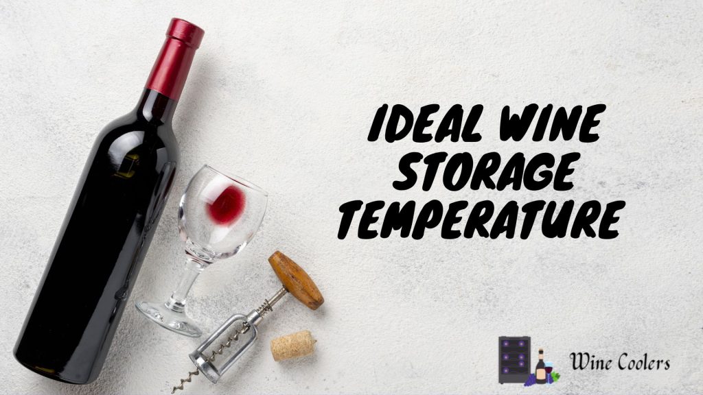Ideal Wine Storage Temperature 1024x576 